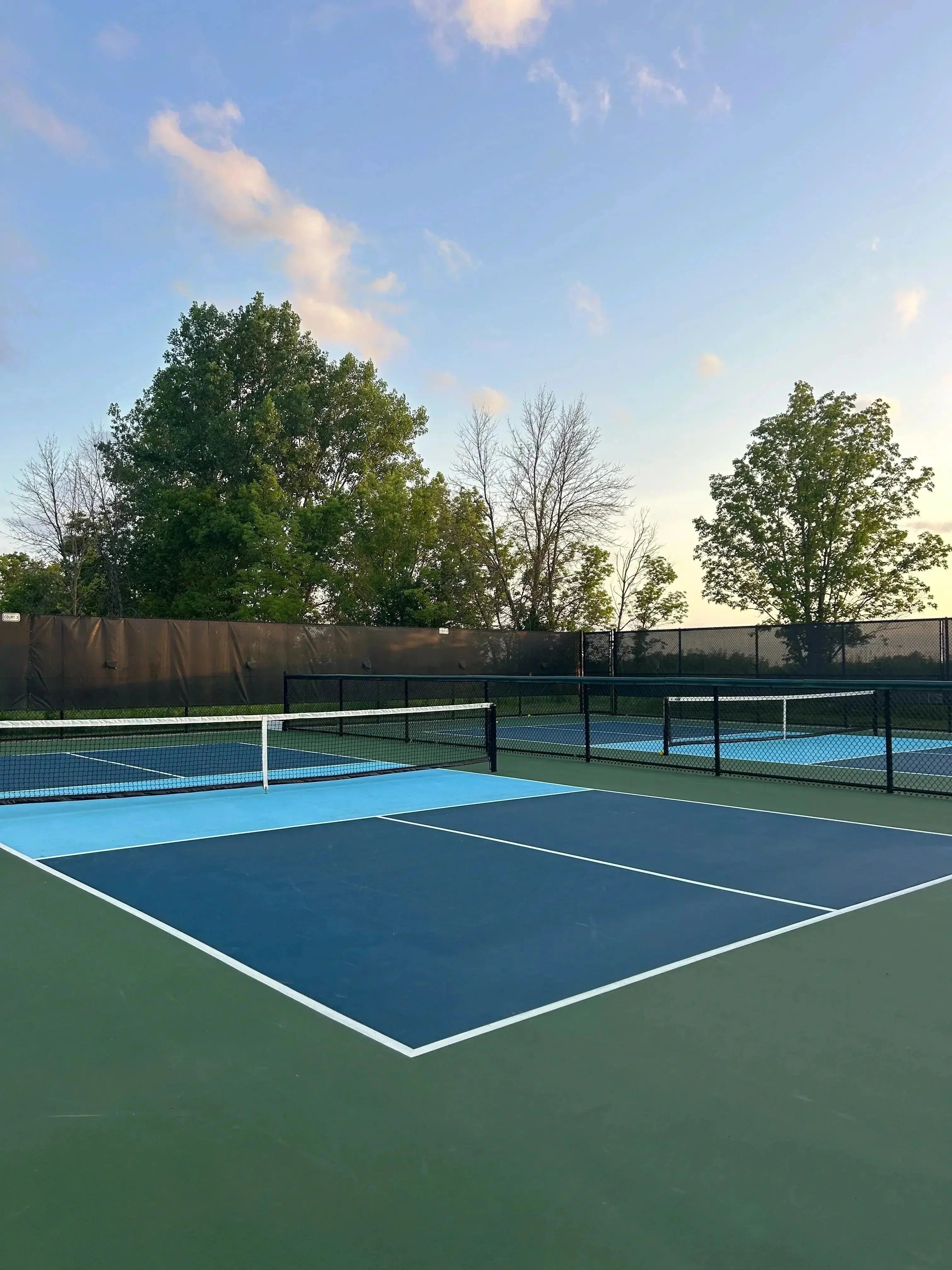 terrain de pickleball